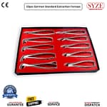 10 Pcs Adult Extraction Forceps Kit