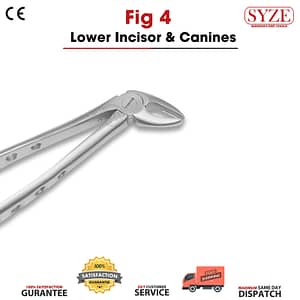 Fig 4 Lower Incisors & Canines solid handle