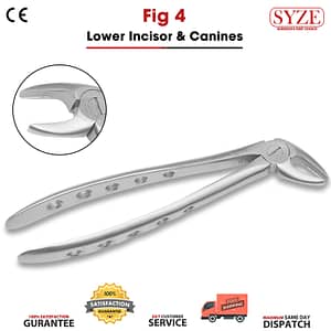 Fig 4 Lower Incisors & Canines solid handle