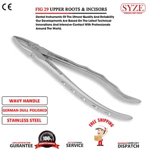 Fig 29 Upper Roots & Incisors