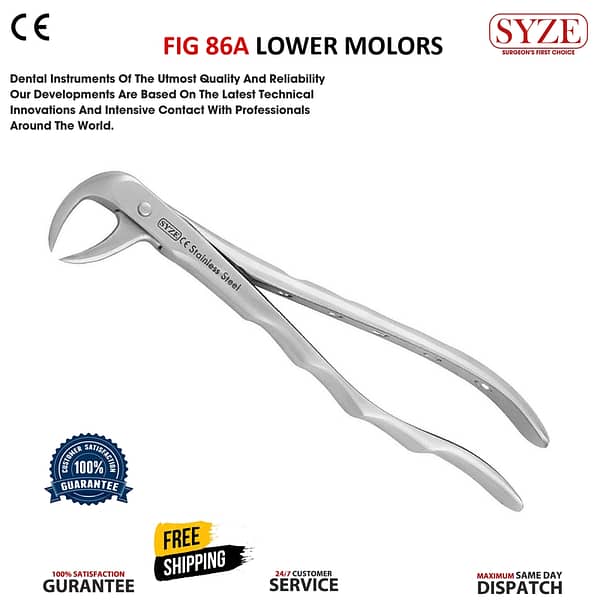 Fig 86A Lower Molars