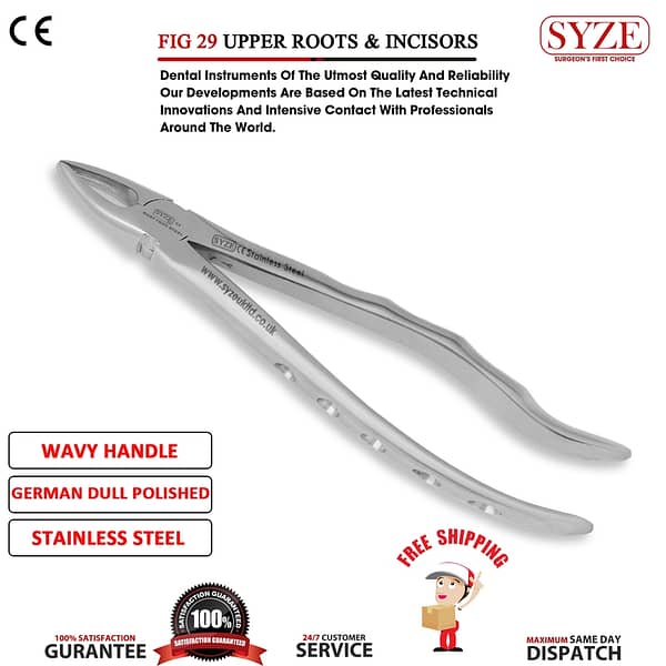Fig 29 Upper Roots & Incisors