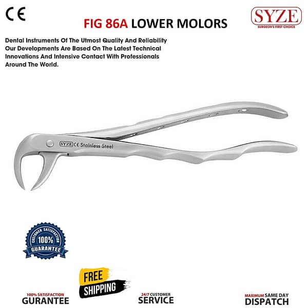 Fig 86A Lower Molars